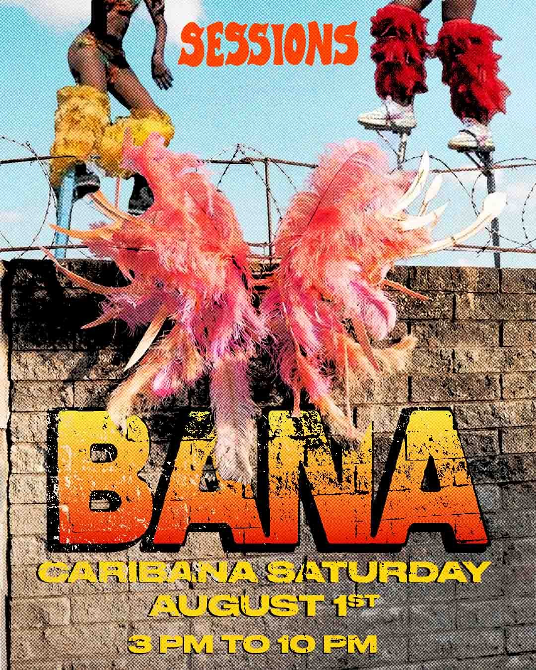 WEBSITE BANA